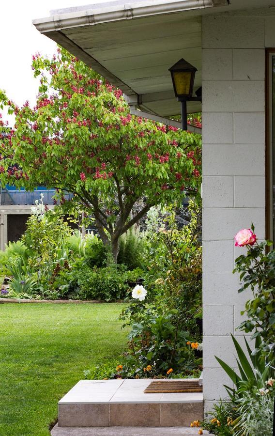 Magnolia House Panzió Blenheim Kültér fotó