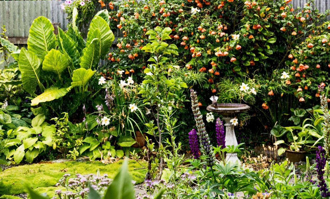 Magnolia House Panzió Blenheim Kültér fotó